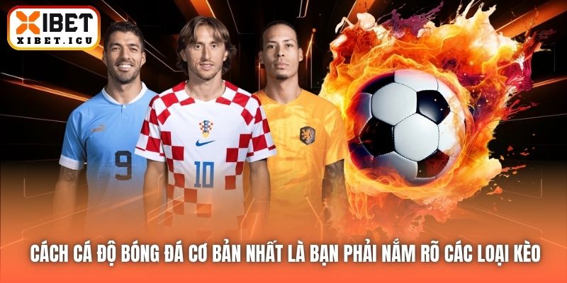 Cách cá độ bóng đá cơ bản nhất là bạn phải nắm rõ các loại kèo