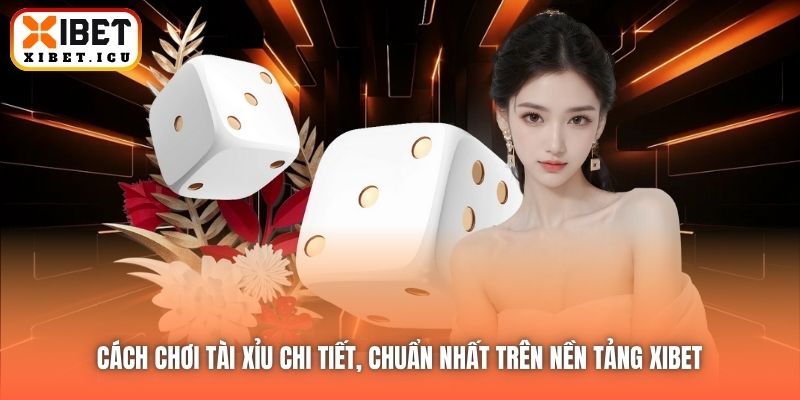 Cách Chơi Tài Xỉu Chi Tiết, Chuẩn Nhất Trên Nền Tảng Xibet