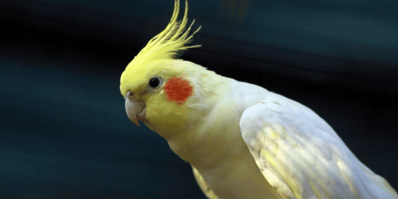 Luận giải con số phát tài may mắn