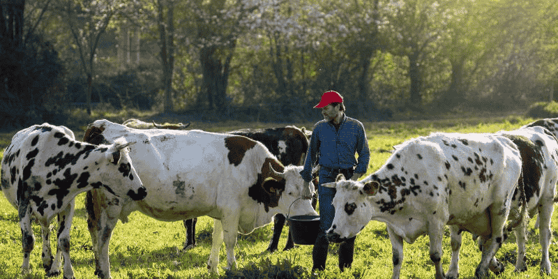 Phân tích cụ thể những trường hợp mơ thường gặp nhất