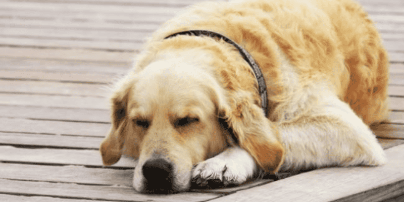 Lời khuyên để hoá giải điềm xui xẻo