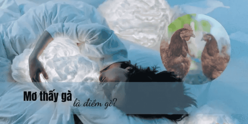 Luận giải điềm may rủi khi chiêm bao thấy gà