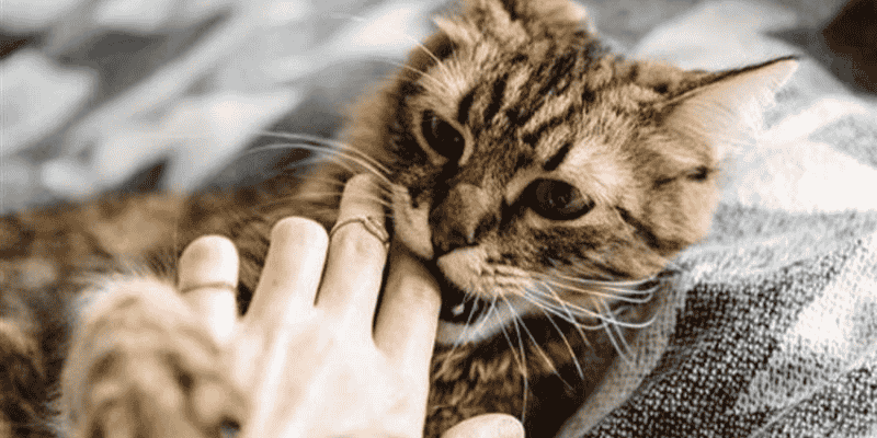 Lời khuyên nên làm để hoá giải giấc mộng xấu