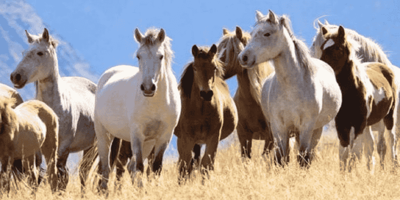 Ý nghĩa mỗi tình huống trong mơ không giống nhau